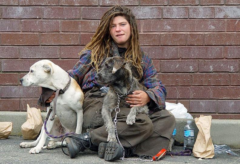 A woman and her two dogs living on the streets of San Francisco.
