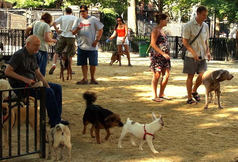 Tompkins Square Dog Run