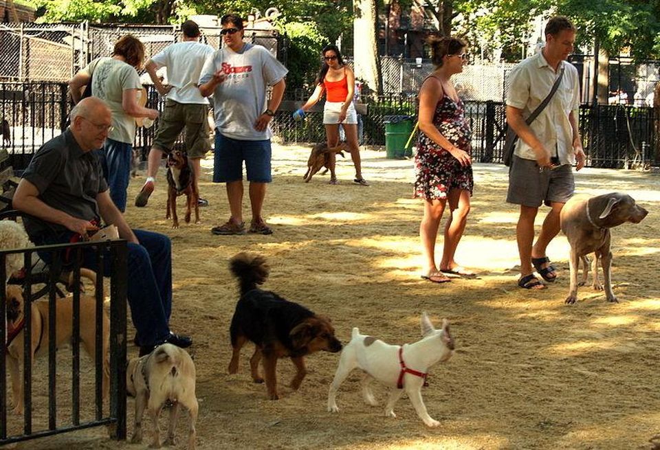 Tompkins Square Dog Run