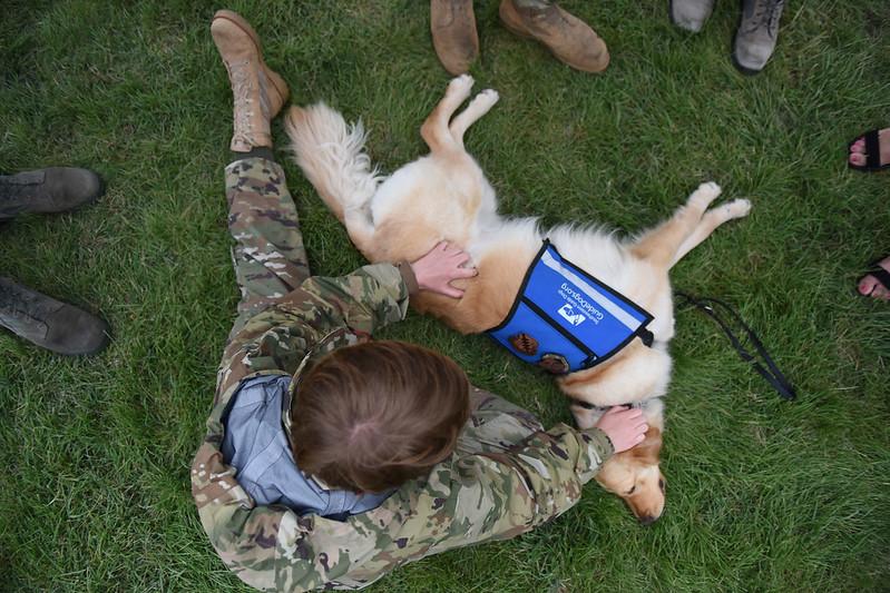 New Florida Law Cracks Down On Emotional Support Animals