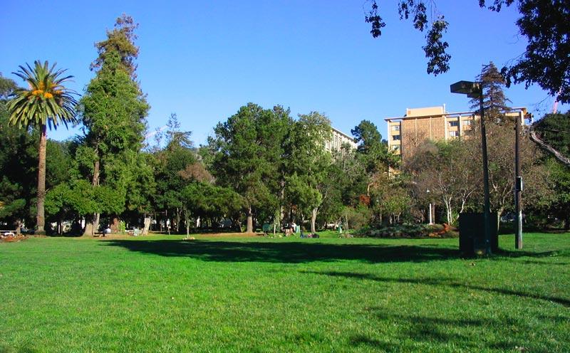 Supportive Housing Developer Pulls Out Of UC Berkeley Project, Citing Legal Delays