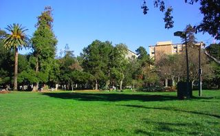 Supportive Housing Developer Pulls Out Of UC Berkeley Project, Citing Legal Delays