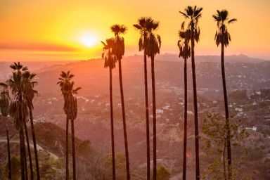 Los Angeles Adaptive Reuse & Repositioning