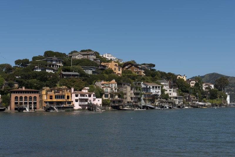 Tiburon