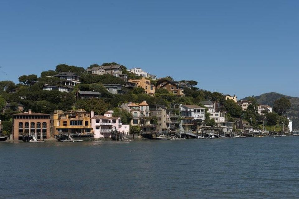 Tiburon