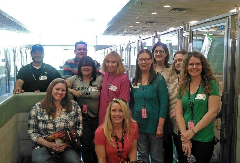KWA also volunteered at Dallas Animal Services and Adoption Center to help both humans and animals prepare for an adoption event. KWA collected donations of towels, blankets, food and treats. Here’s the team on the week of Thanksgiving. 