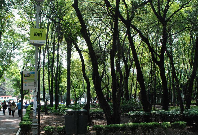 WiFi Trees And Underground Urban Farms: What The Ideal City Of 2040 Might Look Like