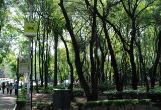 WiFi Trees And Underground Urban Farms: What The Ideal City Of 2040 Might Look Like