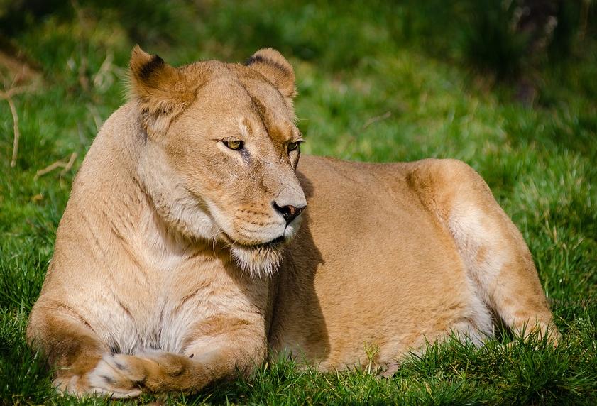 Ares And Kennedy Wilson Among Big Beasts Raising Money For Value-Add Deals
