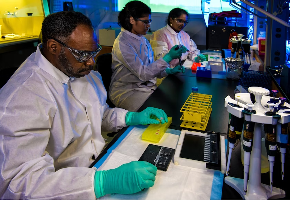 Laboratory work