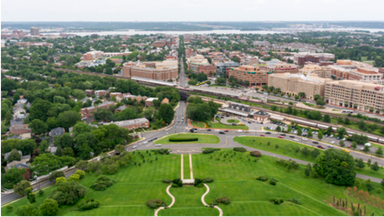 Future of Alexandria