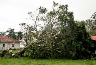 Hurricane Irma damaged properties throughout Florida, like this one in Sebring. 