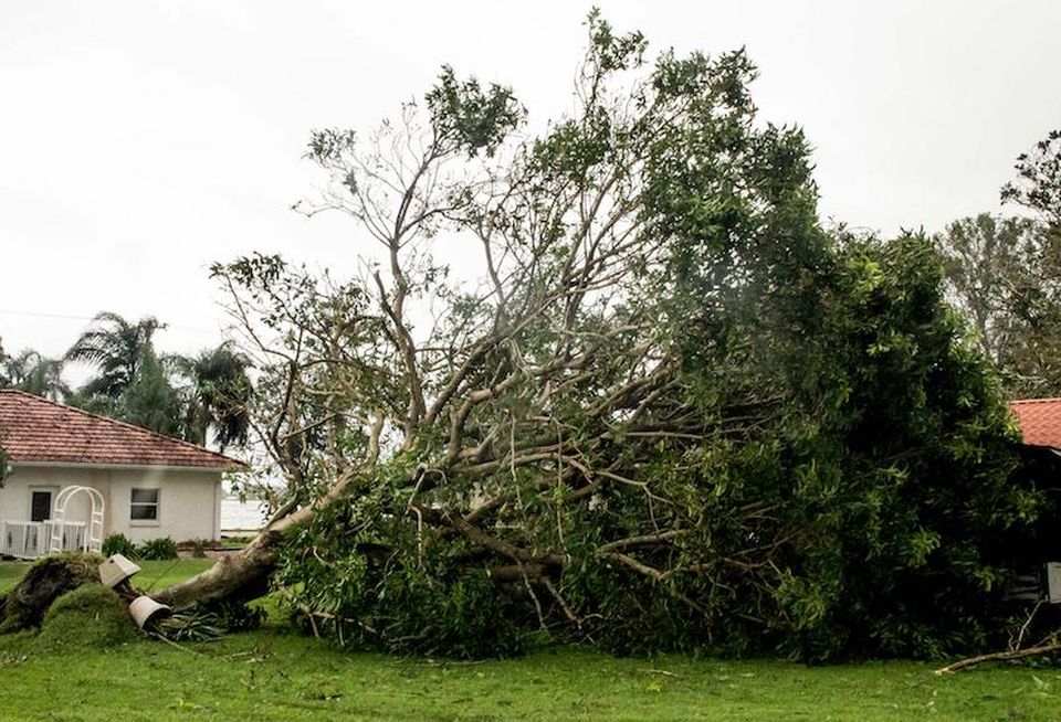 Hurricane Irma damaged properties throughout Florida, like this one in Sebring.