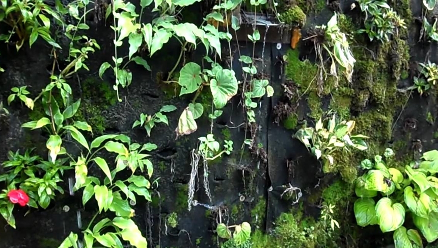Taiwanese Developer Plans Living Wall For New Seattle Apartments