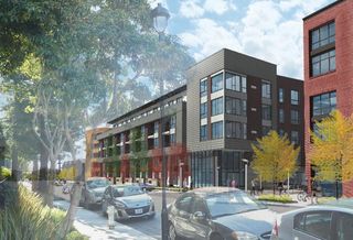 Avalon Dogpatch
