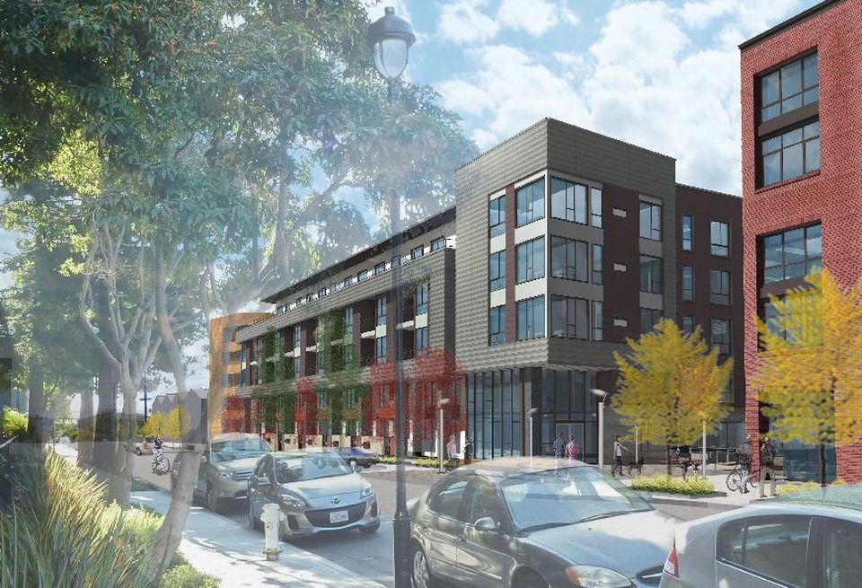 Avalon Dogpatch