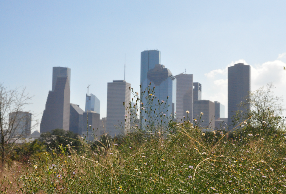 Houston Skyline