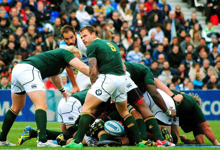 South African Investors Take On England As Pair Prepare To Meet In Rugby World Cup Final