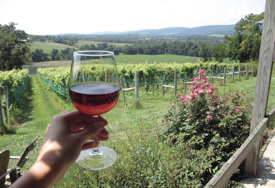 Loudoun County Wineries Gain Recognition, Fuel Tourism