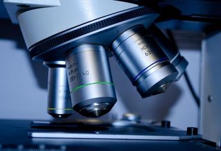 Blackstone, BioMed And Cambridge Uni On The 7 Things You Must Know For Your Life Sciences Scheme To Succeed