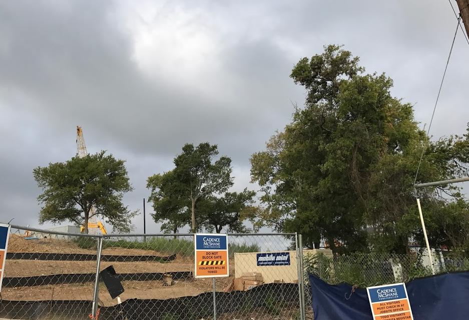Developers Drawn Back Into Governor's Tree Fight