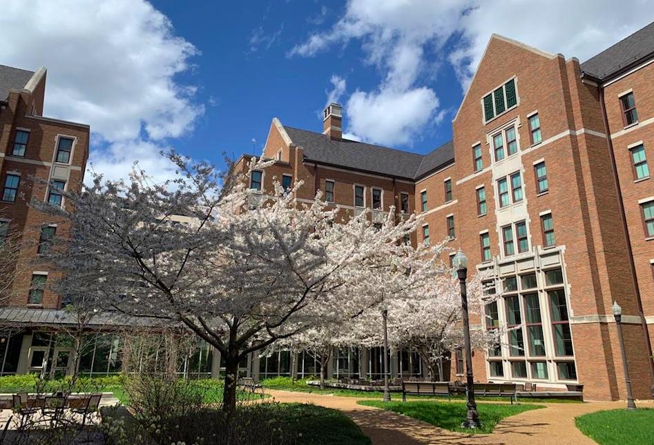 Warren College Dorms at Vanderbilt Universty