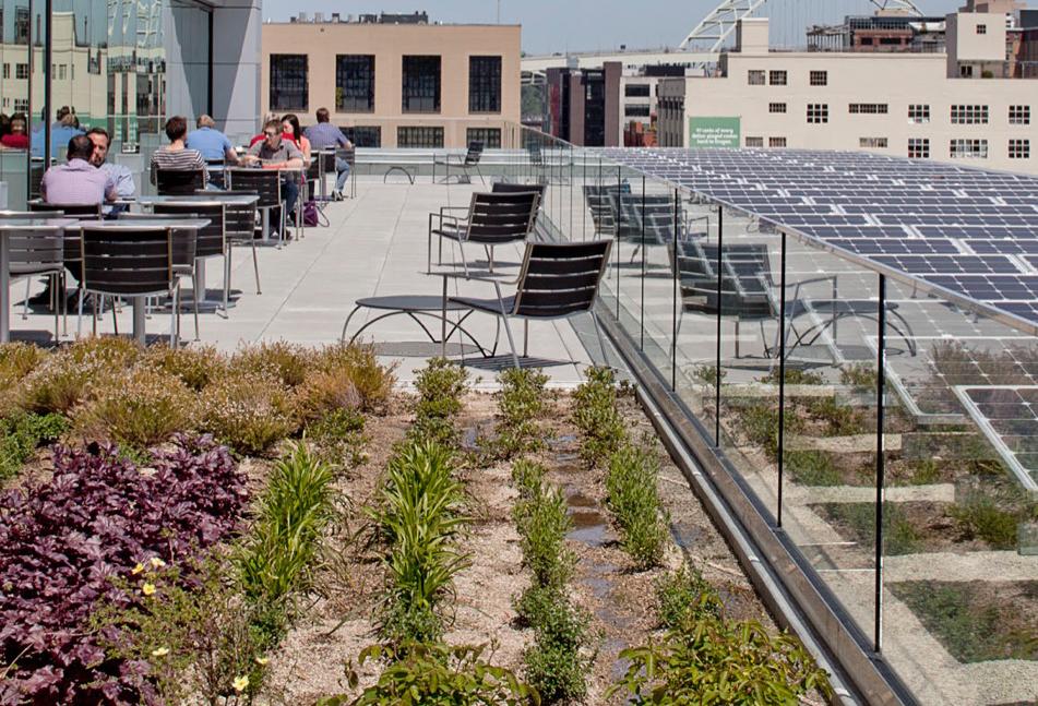 Stormwater Management And Green Infrastructure Save Property Owners Bucketloads