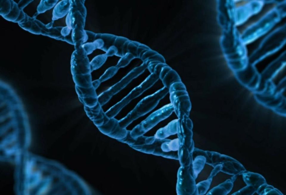 gene life sciences biology science dna