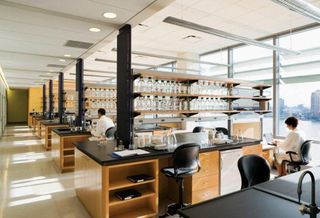 The Sleeping Giant Of New York's Lab Market Could Be About To Wake Up