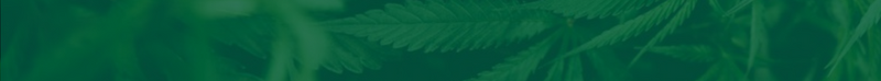 National Cannabis Real Estate Summit