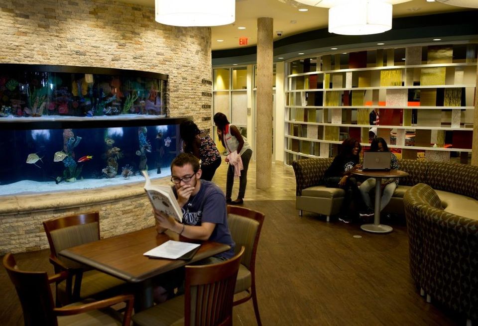 Saint Leo, Florida is about 30 miles from the beach, but students in Apartment 5 at Saint Leo University can make do with the 2,100 gallon saltwater aquarium in the common room of the on-campus community. Televisions for gaming, pool tables, an arcade and a relaxation room with napping pods give students a little balance in their study routines.
