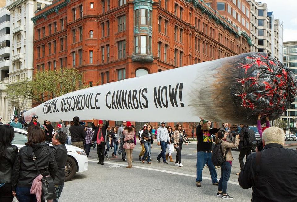 marijuana legalization protest rally giant joint