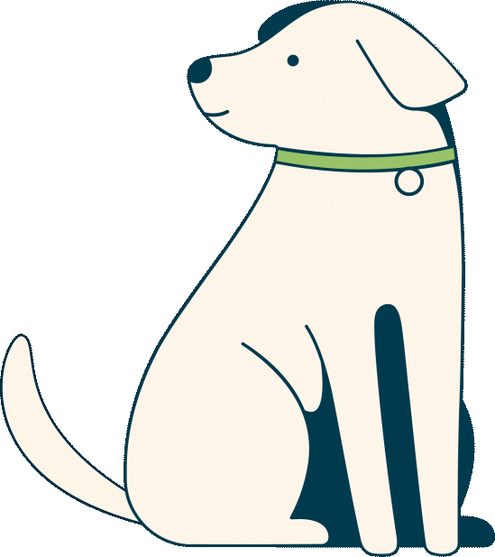 Tail Wiggling Dog