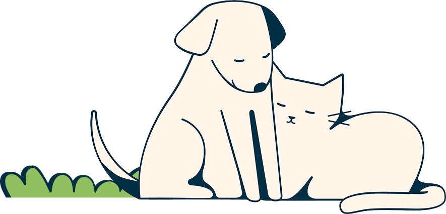 Dog and cat sleeping on grass