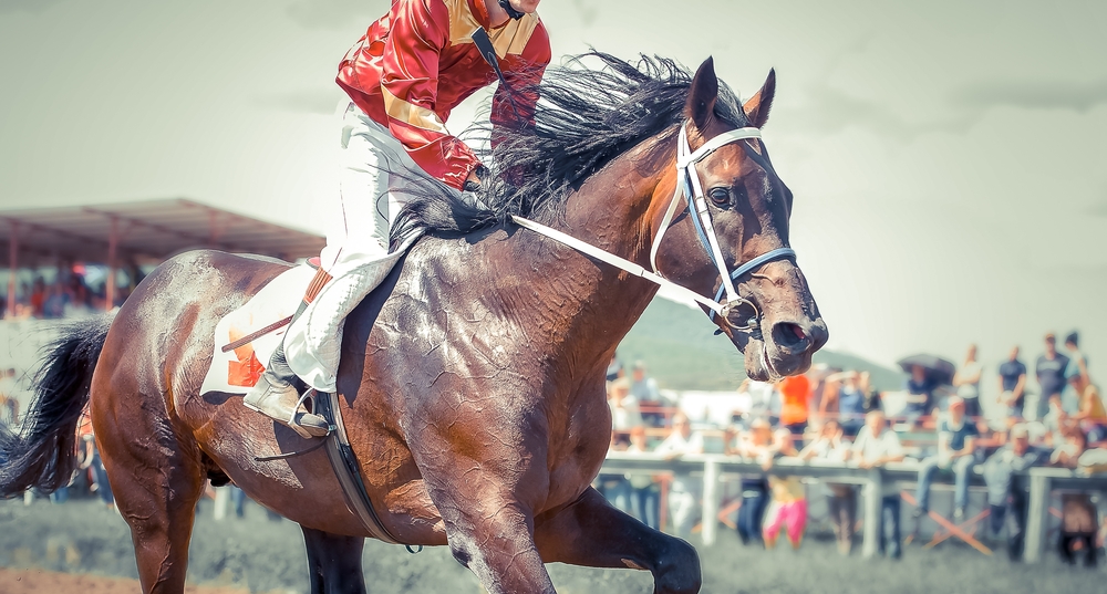 Top Affordable Day Trips in Kentucky