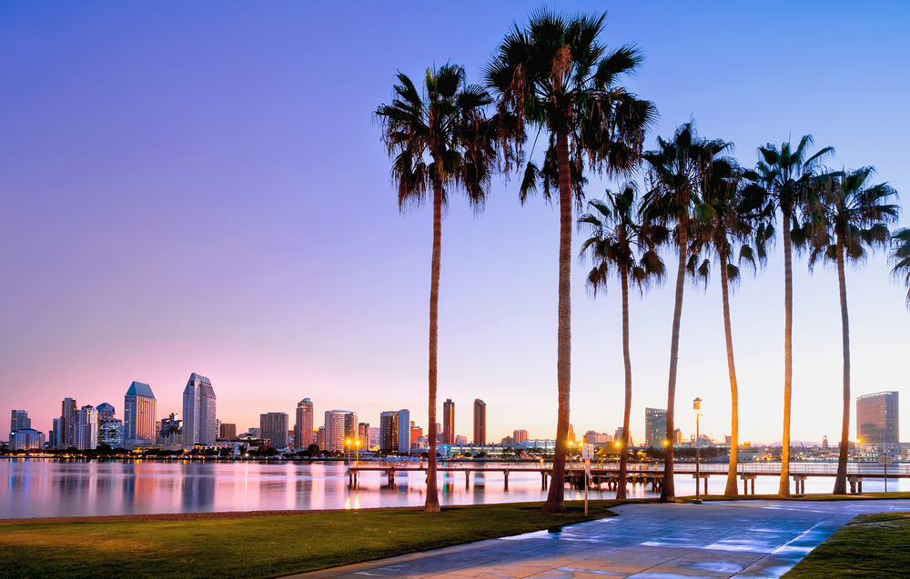 California Road Trip: Lights, Camera, Roadside Attraction!