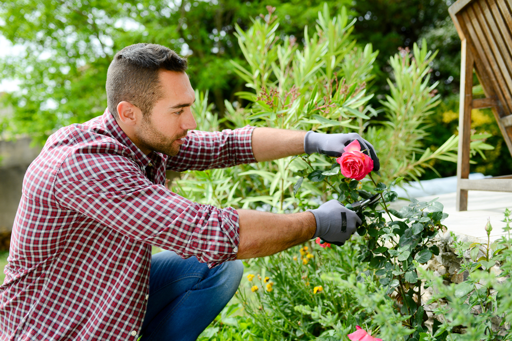 Easy and Cheap DIY Backyard Landscaping Ideas