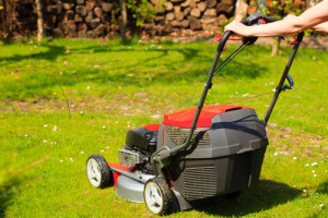 Fall in Love with Your Lawn: Tips for Preparing your Yard for Fall and Winter