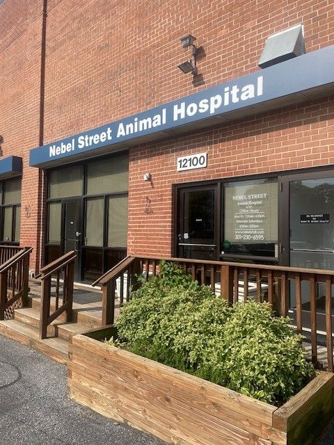 Nebel St. Animal Hospital centre exterior