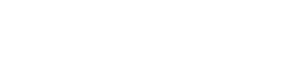 Happy Dogs Play and Stay