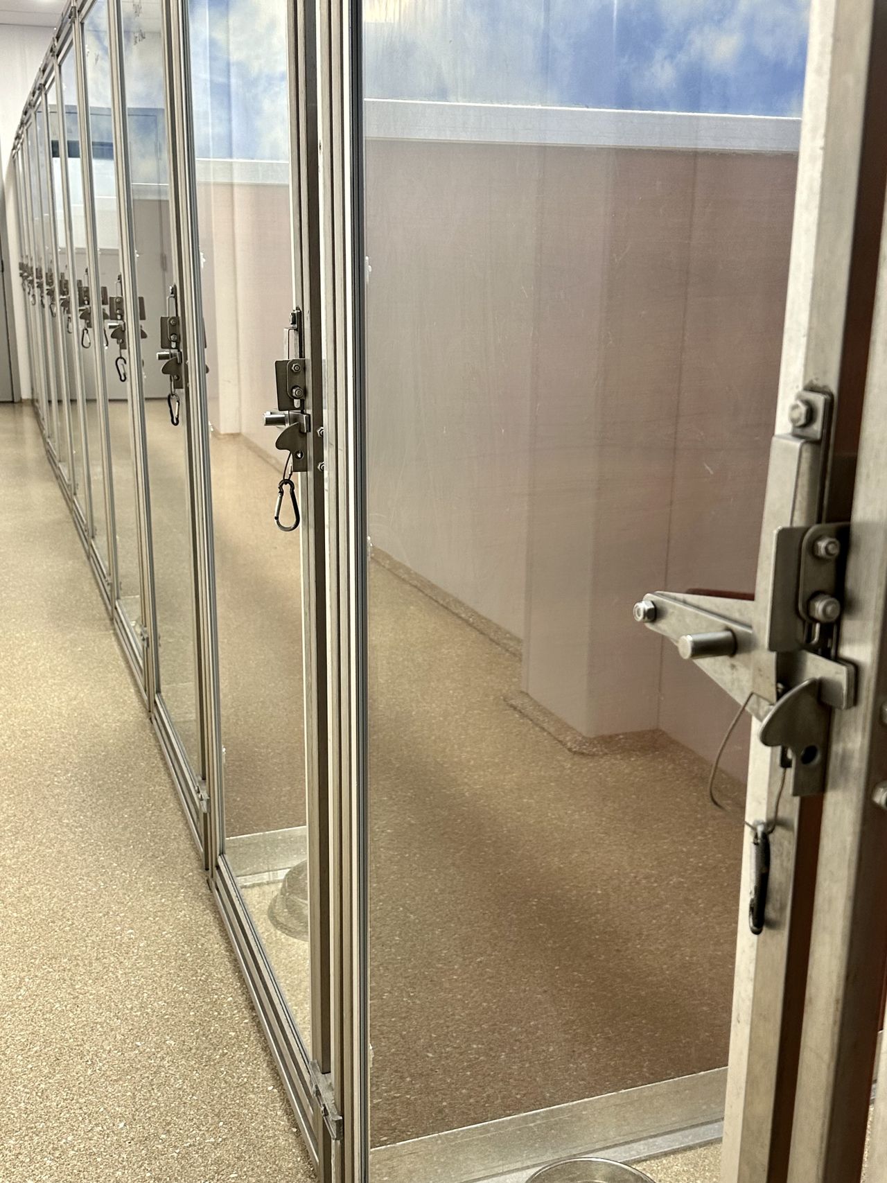 A row of metal and glass kennels on a speckled floor, each with latches and a locking mechanism, reflecting a sky-painted wall.