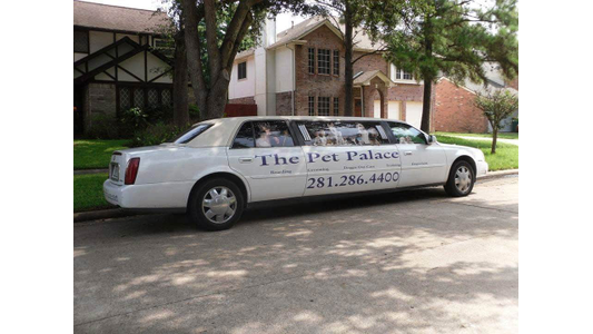 A white limousine with "The Pet Palace" branding and contact number parked on a residential street with houses and trees in the background.