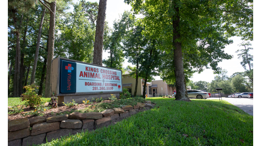 Exterior view of Kings Crossing Animal Hospital, featuring a sign and lush greenery, with trees and a parked car in the background.