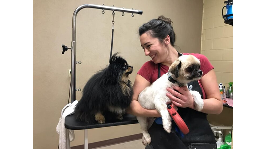 A woman smiles while holding a groomed dog, with another fluffy dog on the grooming table, in a pet grooming salon.