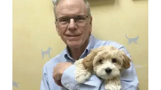 dog with women
