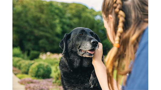 Female Staff member  gently pets a black Labrador dog outdoors in a garden setting.