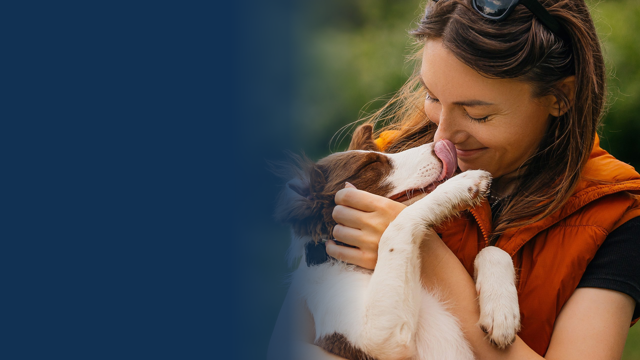Leptospirosis in Dogs: What Burbank, CA Pet Parents Need to Know
