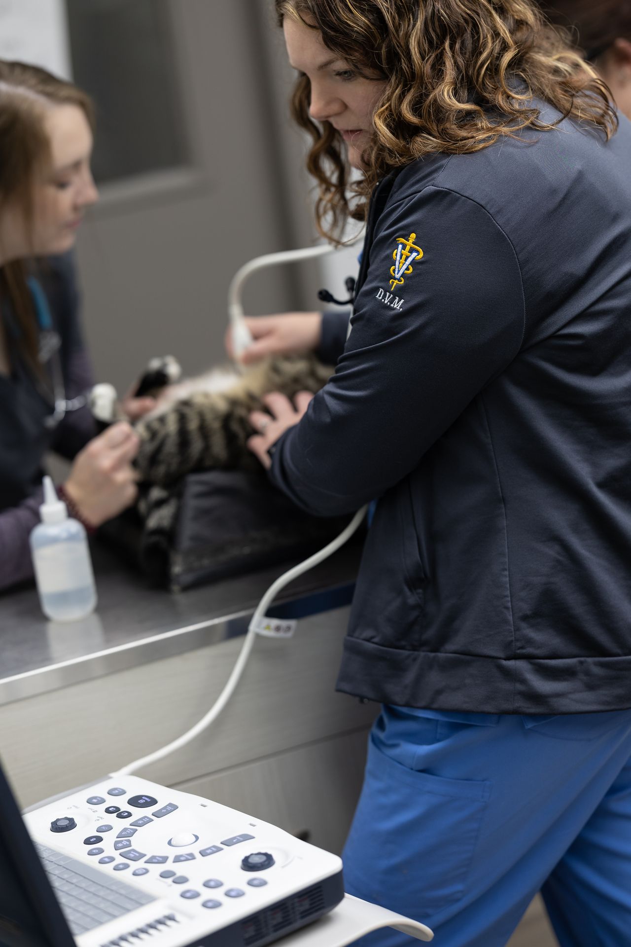Two veterinarians perform an ultrasound on a small animal at a clinic, with medical equipment visible on the counter.