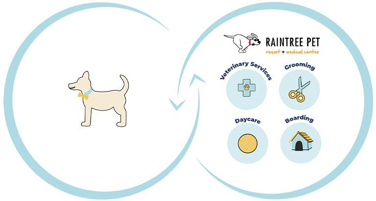 Connected care vet diagram. Illustration of a dog with a bow tie, surrounded by icons for veterinary services, grooming, daycare, and boarding from "Raintree Pet".
