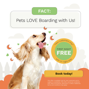 Pets love boarding with us!